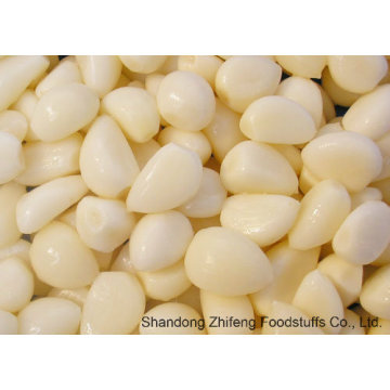 New Fresh Peeled Garlic with High Quality